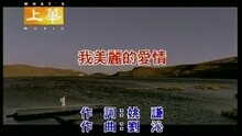 我美麗的愛情