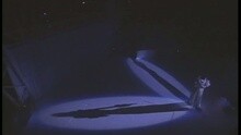 繾綣星光下