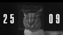 Caracal 預告版