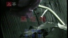 黑玫瑰 (閩)