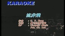 王蓉 - 流非飛