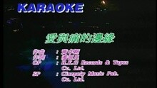 王蓉 - 愛與痛的邊緣