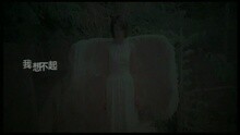 我想不起(國)