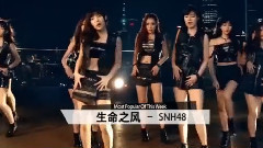 生命之風 上榜單曲