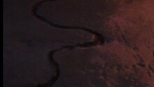 Night Birds