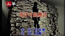 或許可能應該