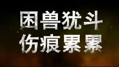 電影< 四大名捕2 >拍攝花絮-動作場景制作特輯