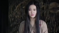 電影< 四大名捕2 >劇場版預告片2