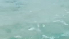 伯賢更新INS視頻一則