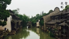 烏鎮之戀