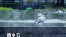 李克勤 - 簡單美