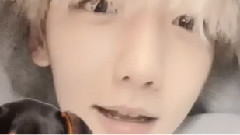 伯賢更新INS視頻一則