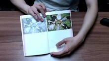 SUGA《花樣年華pt.1》Album review