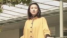 恰似你的溫柔