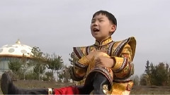 天天喜羊羊