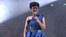 Sometimes When We Touch 葉麗儀45年香港情演唱會 現場版