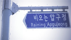 下雨的狎鷗亭