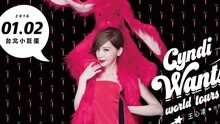 王心凌Cyndi Wants！世界巡回演唱會 臺北站