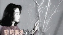 誰的眼淚在飛