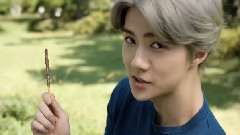 Lotte Conf 樂天廣告