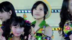 17歲的花季