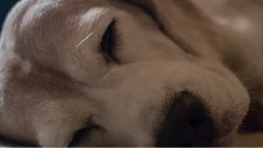 BMCC系列6-2014黑膠之旅