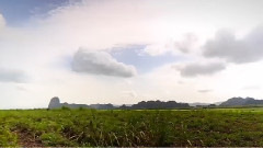 緣圓沿延 改變 The CirCle Changes