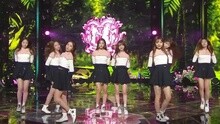 Ah-Choo - KBS音樂銀行 現場版 15/11/13