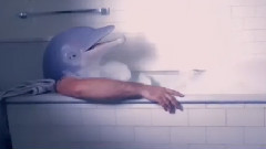 Intronaut - Fast Worms