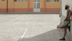 140 ideas Life Neophron