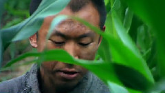 誰讓我愛上你
