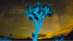 ?itien ?idit (National Park Poetry)