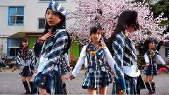 AKB48 - 10年桜(10年櫻)