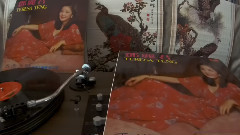 我了解你(1977年香港Polydor黑膠版)