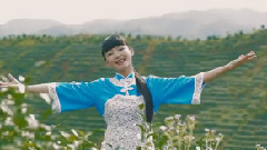 鐘彩媚 - 茶葉見水就開心