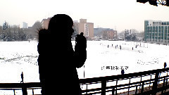 那些花兒