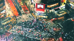 陪你度過漫長歲月 - 蔡照23歲生日生賀