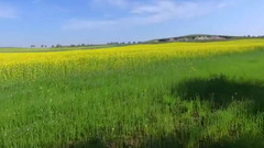 北疆秋色 尋找最原始美景 喀納斯