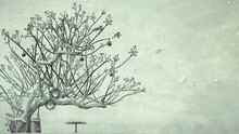 鄭東河 - Snow again 歌詞版