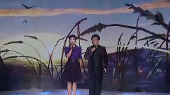 雁南飛