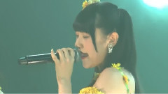 春が來るまで