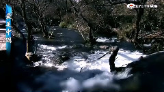 輕音樂 - 麗江 夢中的香格里拉