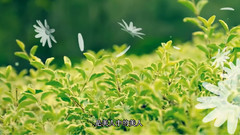 慈祥的母親