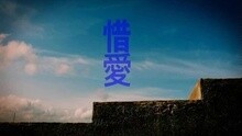 惜愛