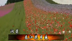 民樂群星 - 春江花月夜 洞簫版