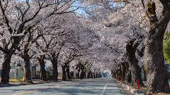 日本福島風景 時光流逝