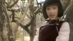鴛鴦譜 1988