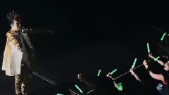 無與倫比的美麗