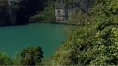 民樂群星,音樂短片 - 鷓鴣飛