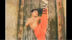 王寶強少林寺習武照曝光